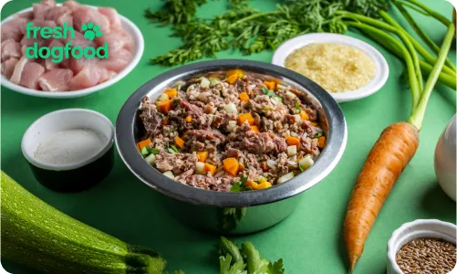 Миска натурального харчування для собак від Fresh Dog Food