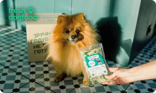 Шпіц та натуральна їжа для собак від Fresh Dog Food